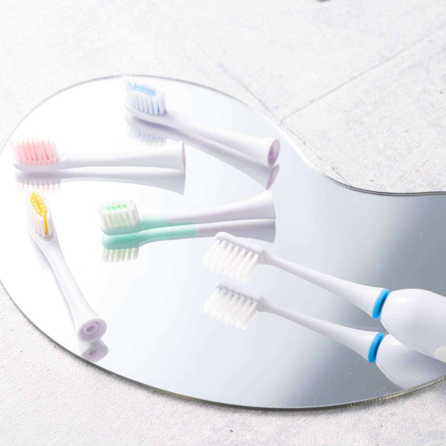 GALLEIDO DENTAL 會員 -(未訂閱)