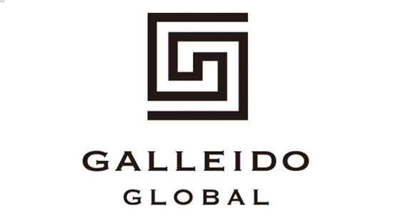GALLEIDO GLOBAL black text on white background with logo on top