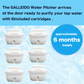 GALLEIDO WATER FILTER PITCHER CARTRIDGES (No Subscription)